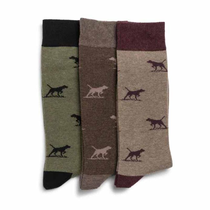 Rodd & Gunn Dogs-A-Plenty Three Pack Socks image number 4